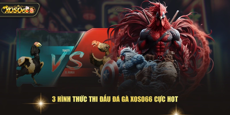 3 hình thức thi đấu đá gà XOSO66 cực hot