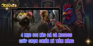 4 Mẹo Soi Kèo Đá Gà XOSO66 Giúp Chọn Chiến Kê Tiềm Năng