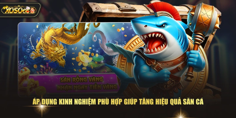 Áp dụng kinh nghiệm phù hợp giúp tăng hiệu quả săn cá 