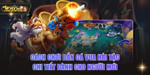 Cách Chơi Bắn Cá Vua Hải Tặc Chi Tiết Dành Cho Người Mới