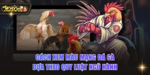 Cách Xem Màu Mạng Đá Gà Dựa Theo Quy Luật Ngũ Hành