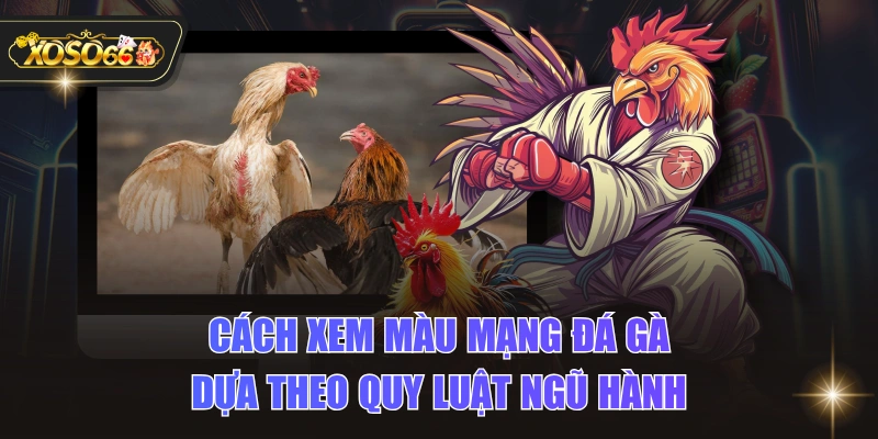 Cách Xem Màu Mạng Đá Gà Dựa Theo Quy Luật Ngũ Hành