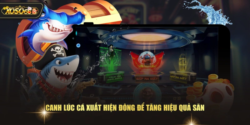 Canh lúc cá xuất hiện đông để tăng hiệu quả săn 