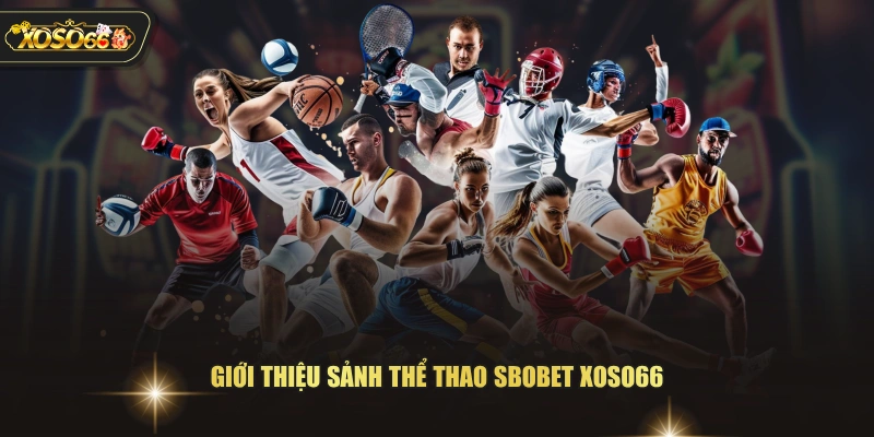 Giới thiệu sảnh thể thao SBOBET XOSO66