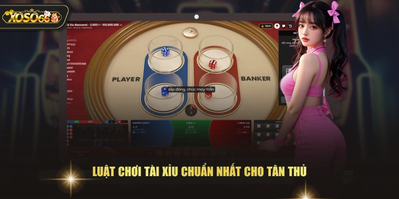 Luật chơi Tài Xỉu chuẩn nhất cho tân thủ