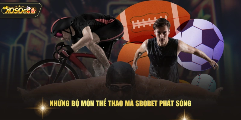 Những bộ môn thể thao mà SBOBET phát sóng