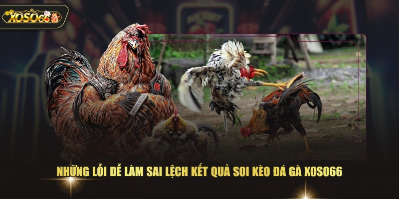 Những lỗi dễ làm sai lệch kết quả soi kèo đá gà XOSO66 